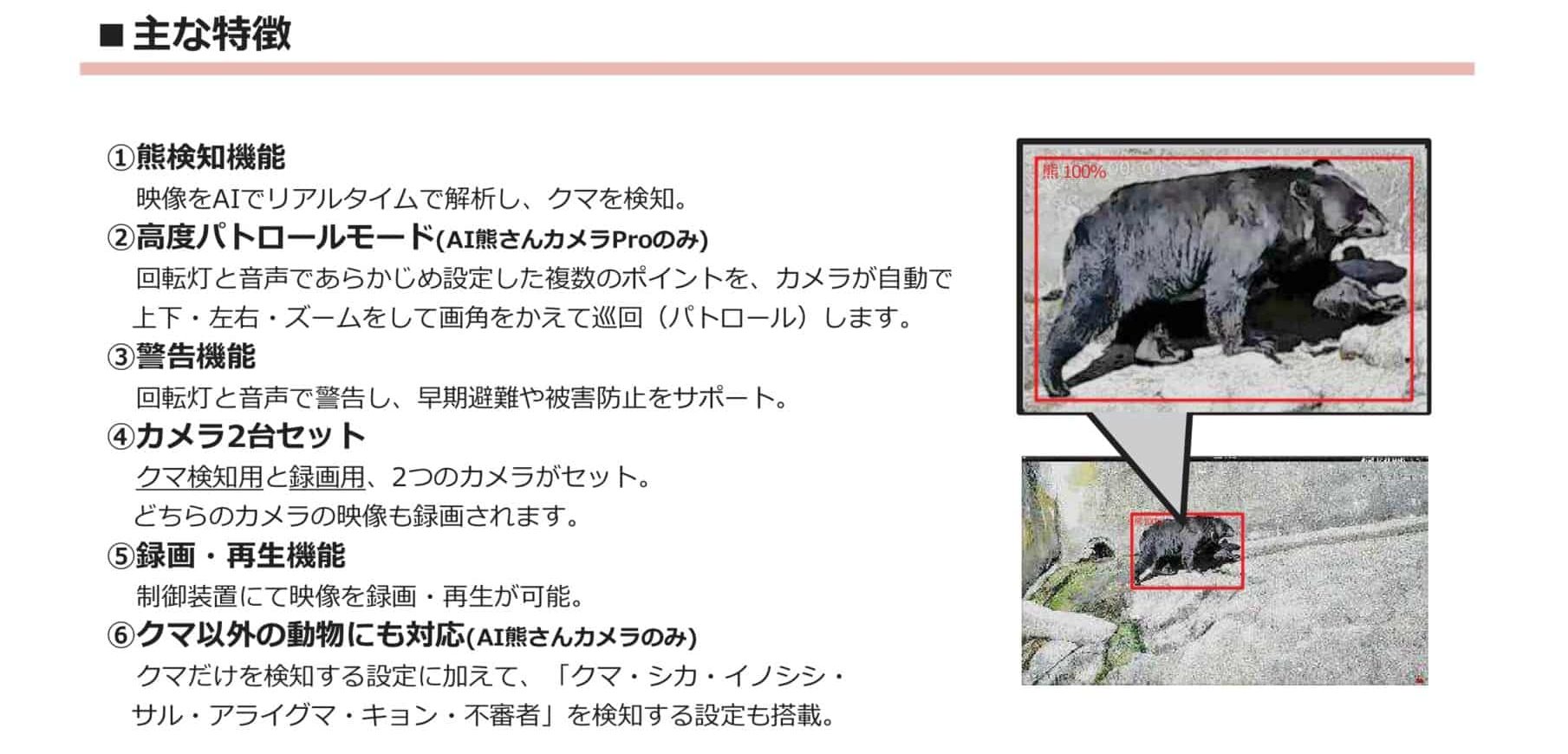 AI熊さんカメラPro - 全国防犯設備・防犯カメラ販売センターのトーカイ
